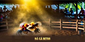 đá gà bet88